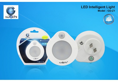 IWACHI-SS-LIGHT-GD-Z1